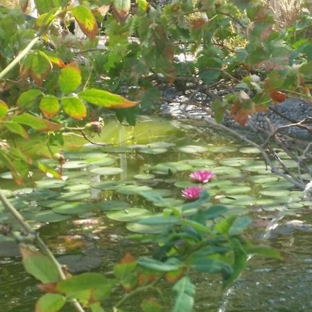 Kmo Yam In The Love Garden Kinneret Exterior photo