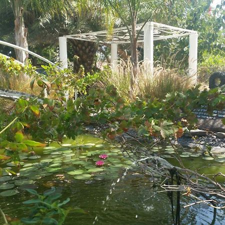 Kmo Yam In The Love Garden Kinneret Exterior photo